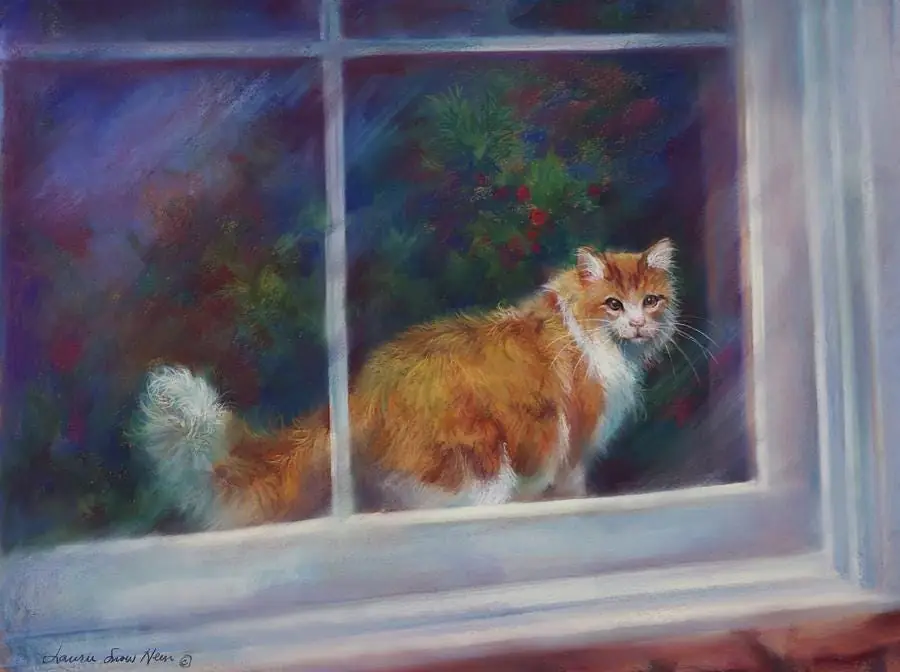 Yellow Cat View Through Window
