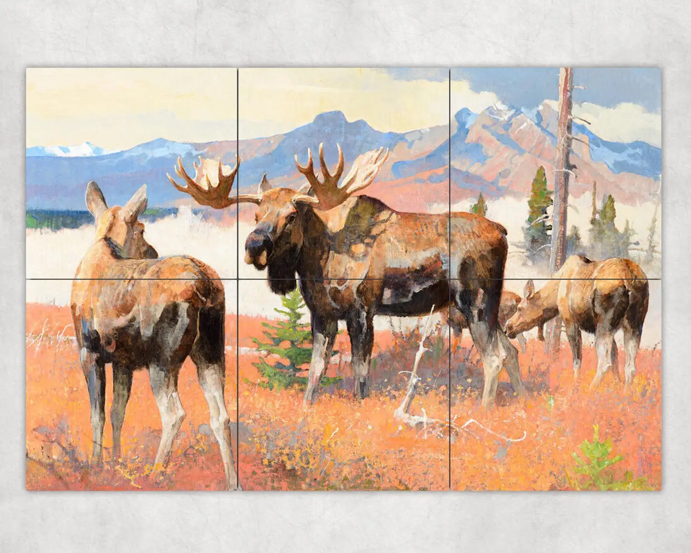 Moose Courting, Wildlife, Deer Nature