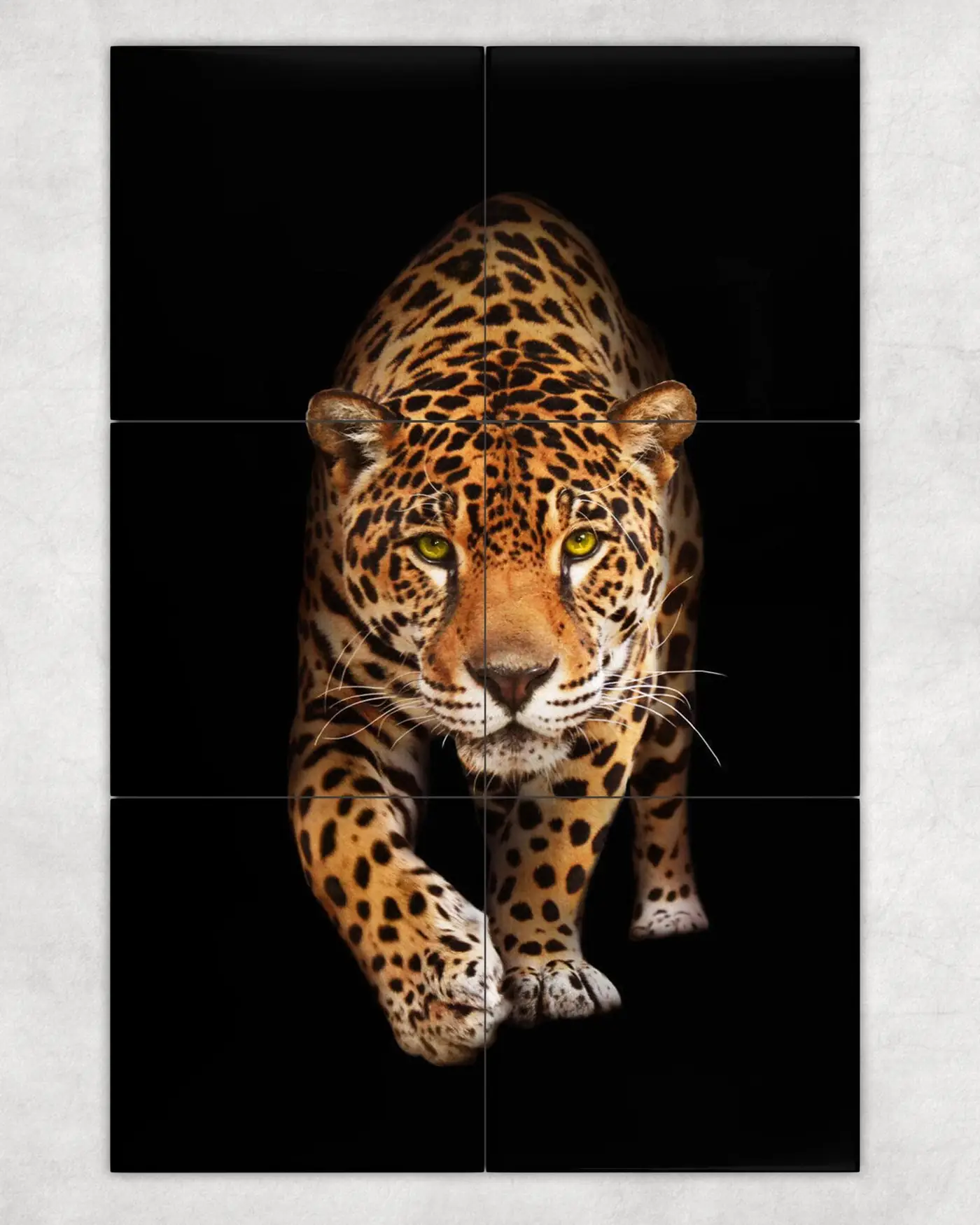 Stalking Leopard in the Dark