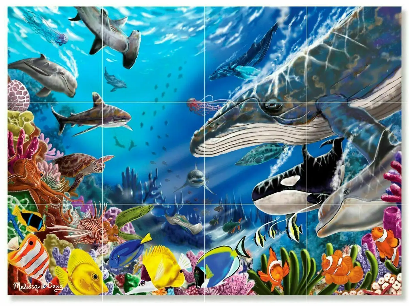 The Living Ocean