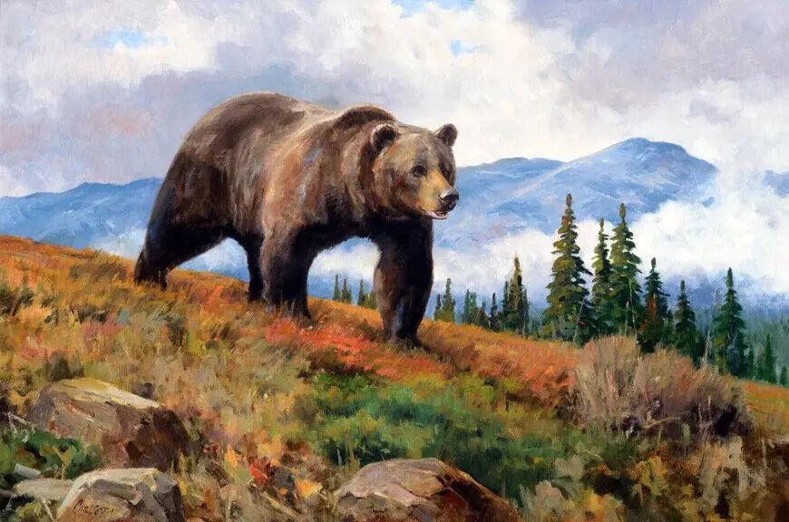 Bear in Nature Wildlife