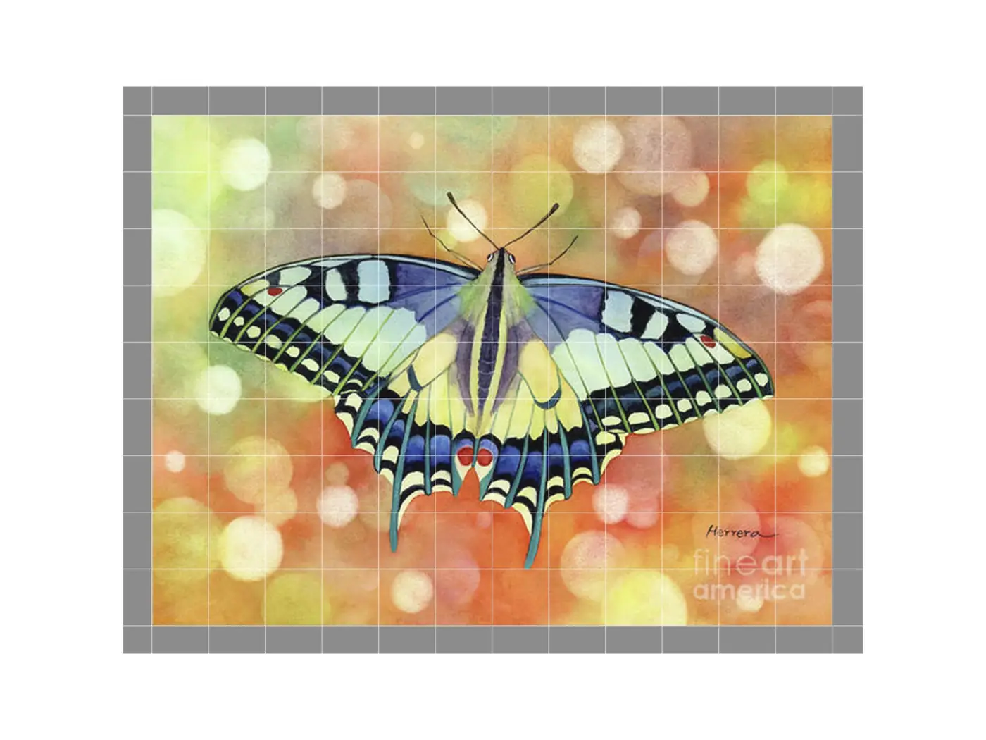 Flutter Away Butterfly Garden