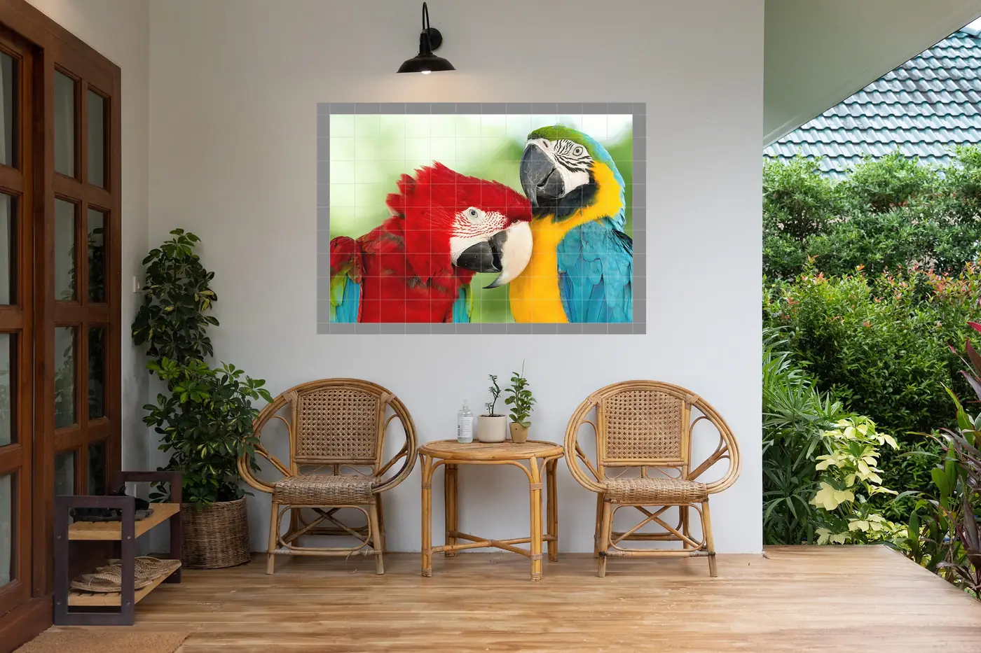 Cuddling Macaws Parrots Birds, Photo 3