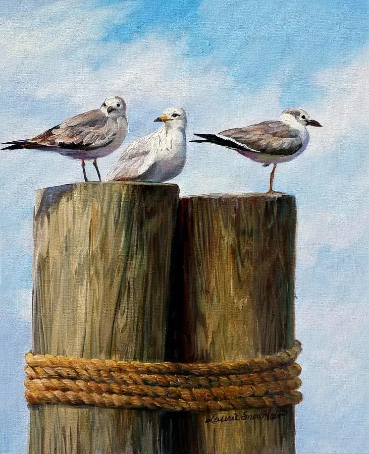 Seagulls Beach Birds on Ocean Pier