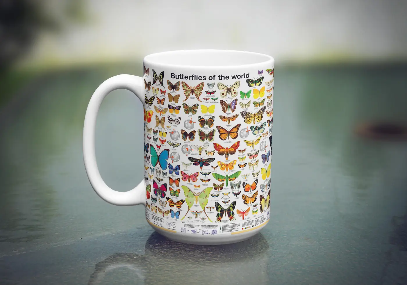 Butterflies of the World, Photo 6
