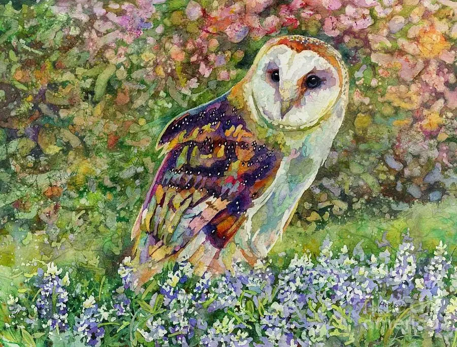 Spring Attraction