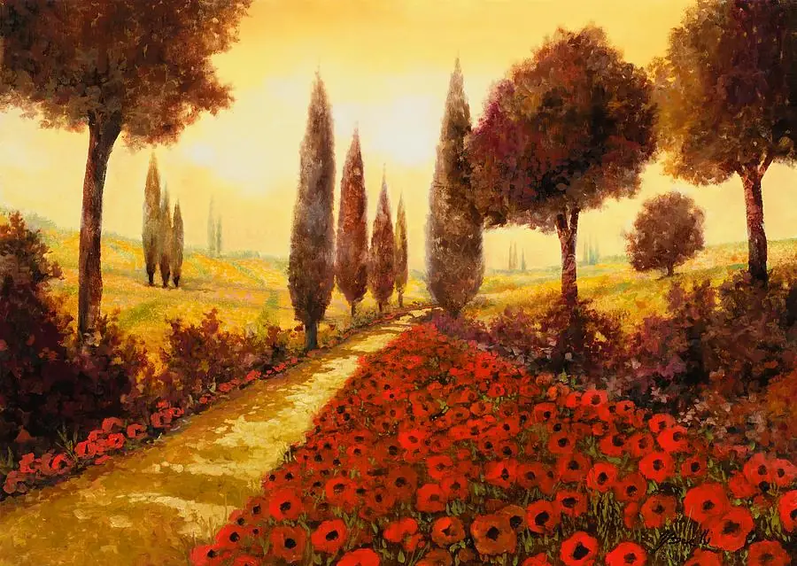 Poppy Flower Garden Field and Cypress Trees in Tuscany
