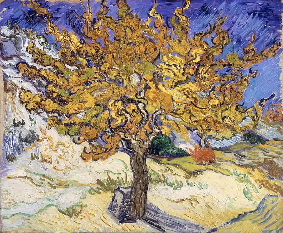 Mulberry Tree Vincent Van Gogh