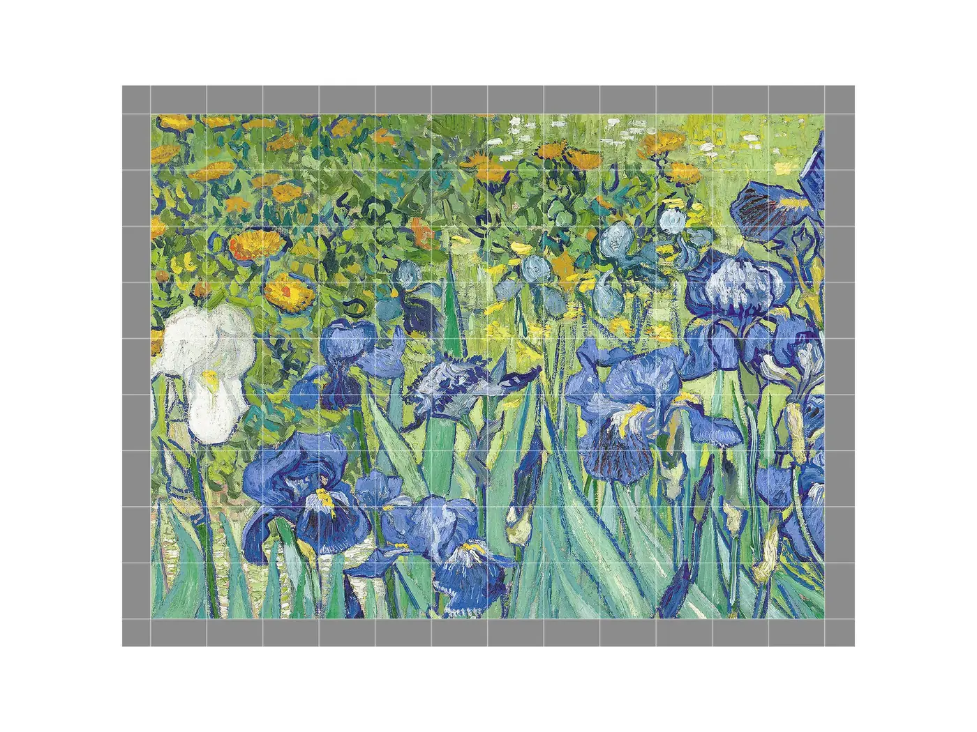 Irises by Vincent Van Gogh, Raoul Dufy