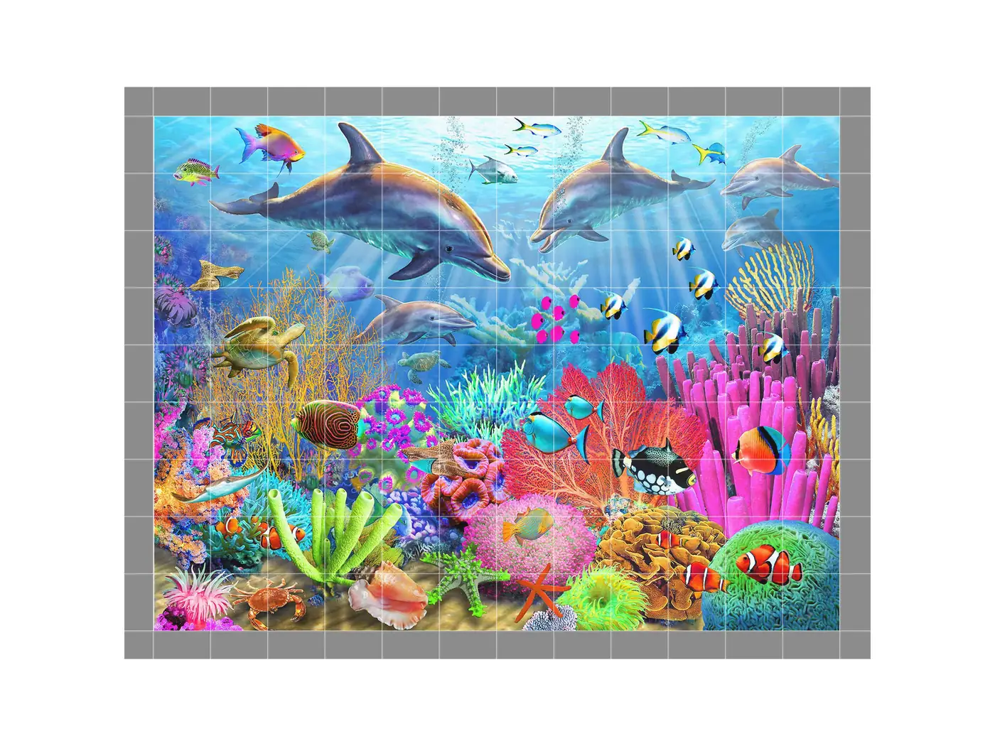 Tropical Fish Dolphin Coral Reef Seascape