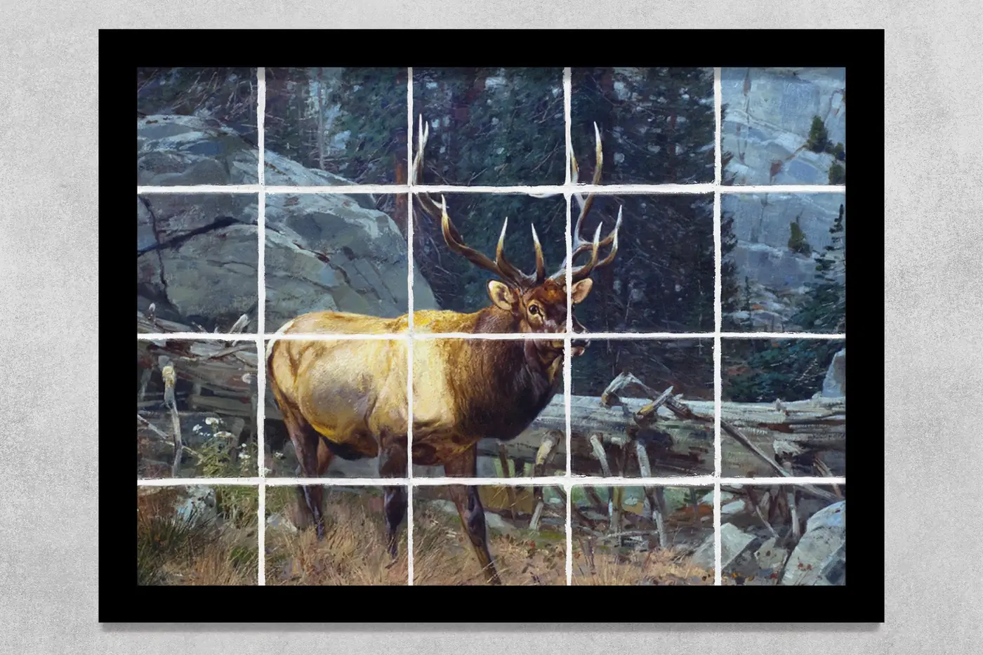 Bugling Elk in the High Country Wildlife