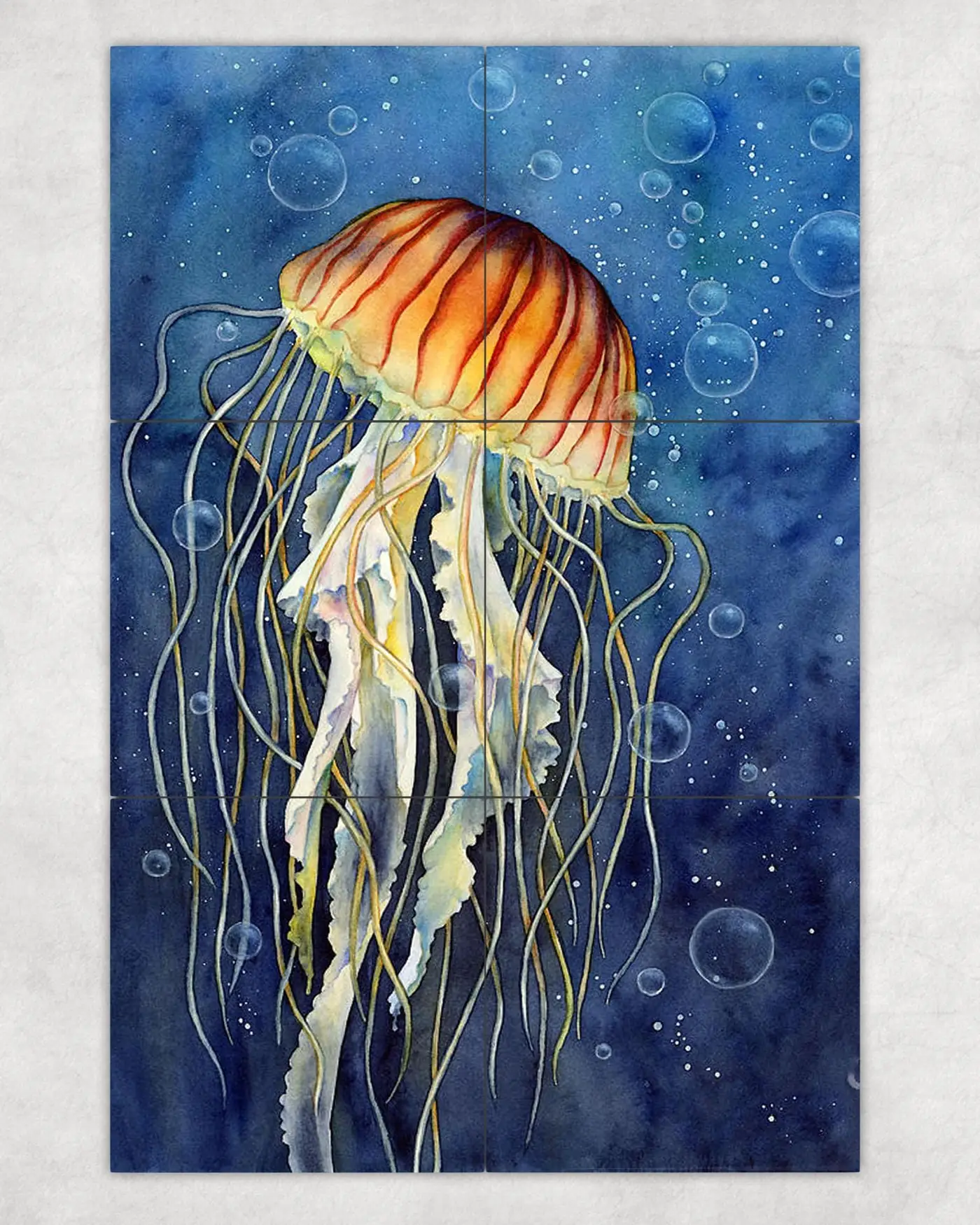 Jellyfish, Tropical Fish