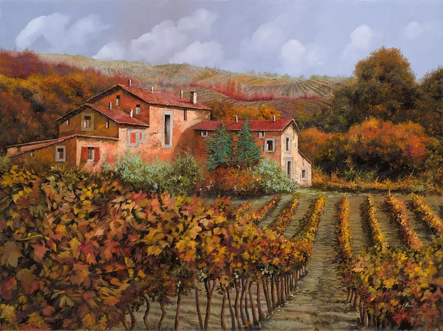 Among the Vineyards in Montalcino