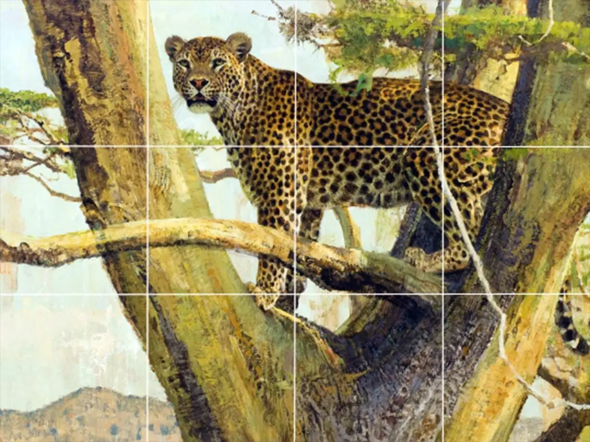 Above the Plains Leopard Jungle Big Cats Wildlife