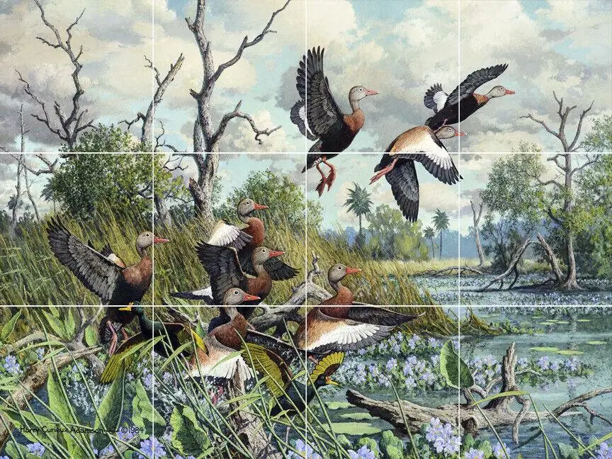 Ballet Black Bellied Whistling Ducks