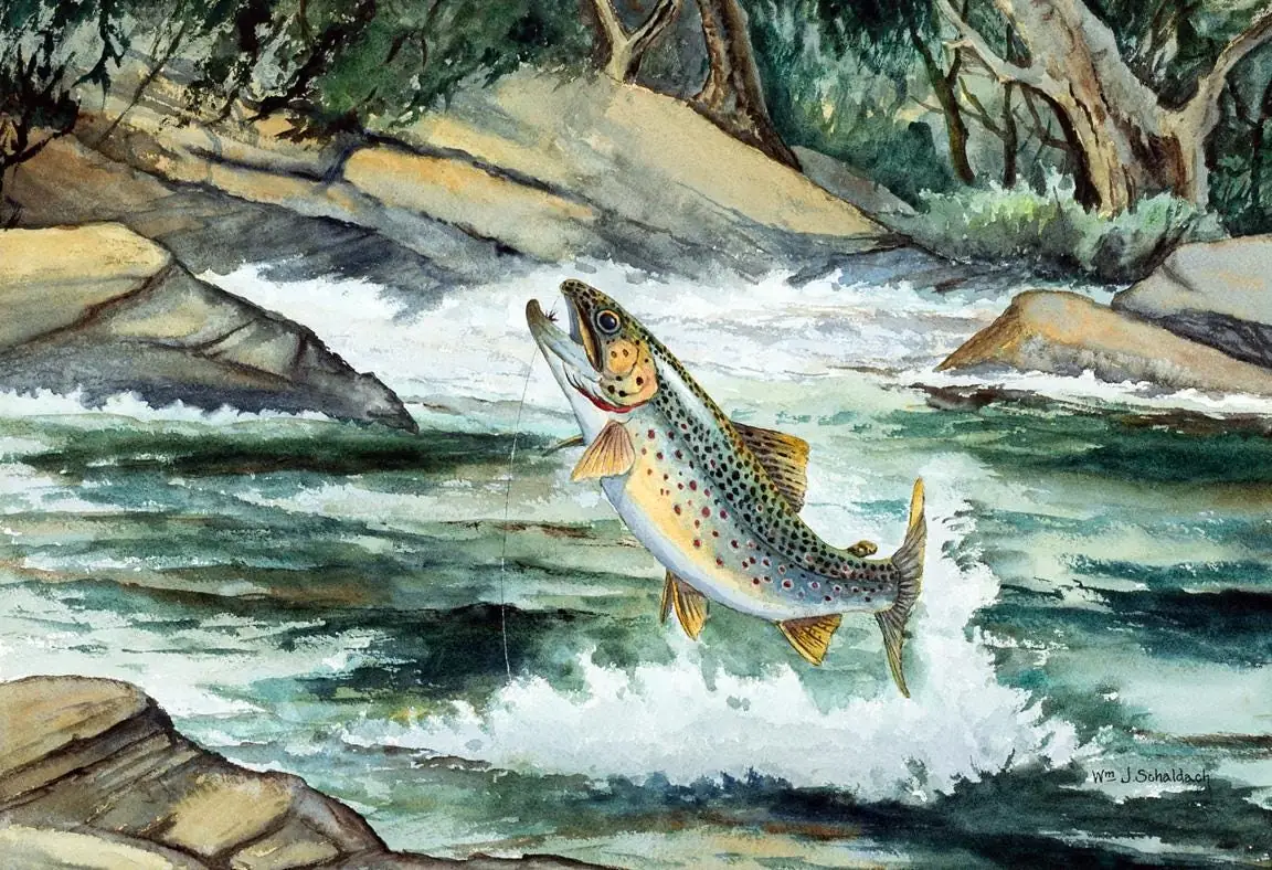 Brown Trout, Fishing Country Western ceramic tile mural