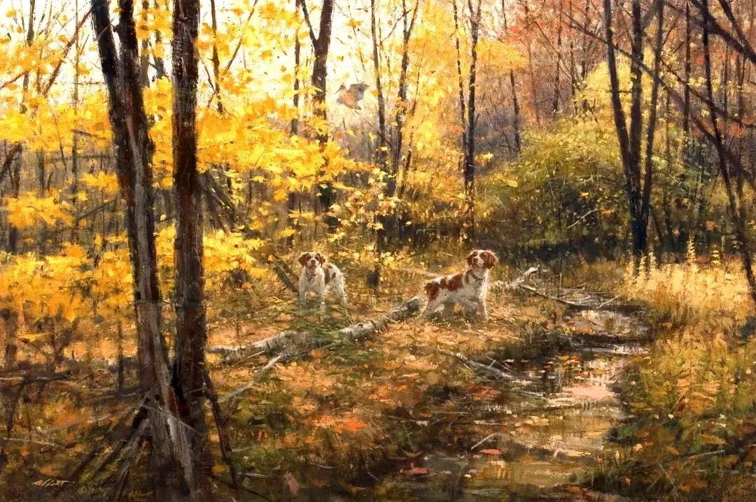 Brittany Spaniels and Woodcock Hunting Dogs