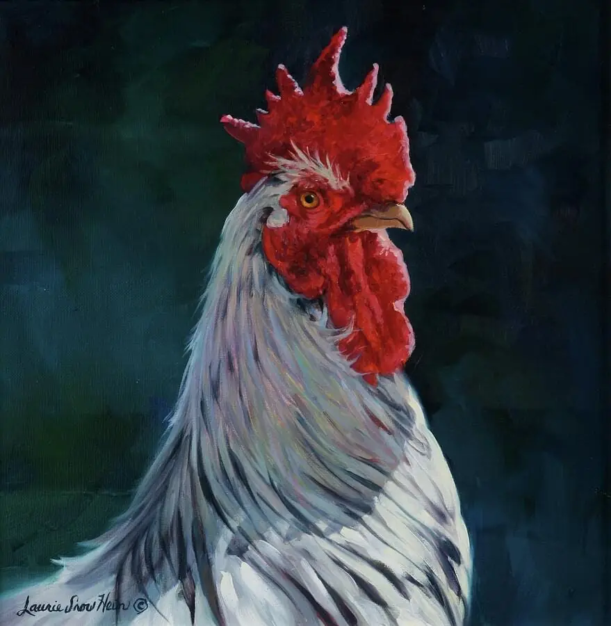 King of the Coop
