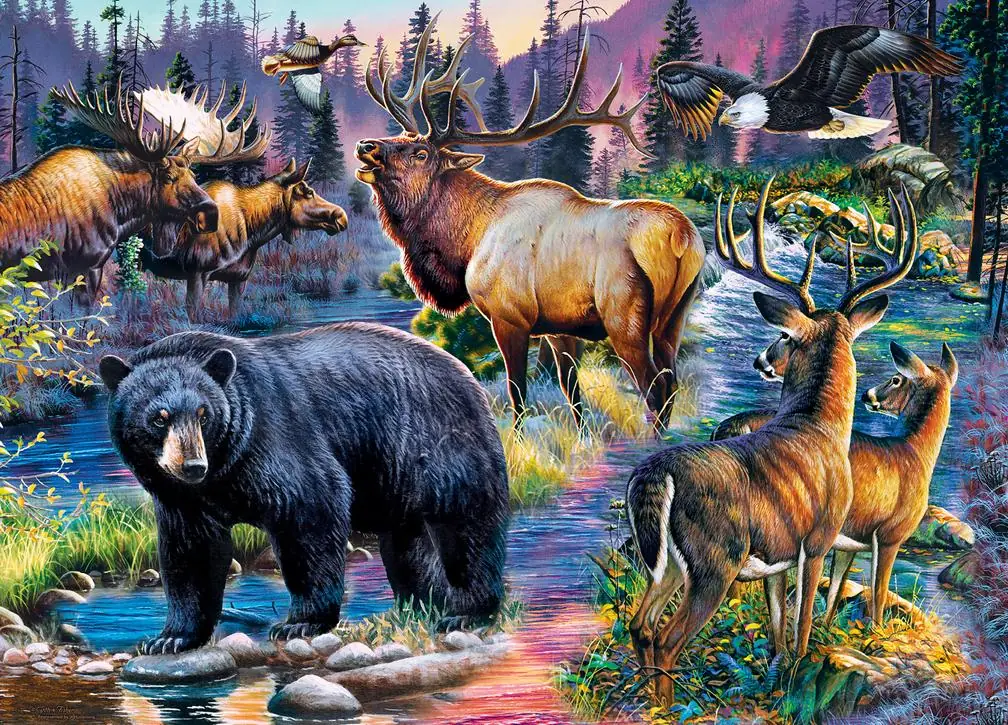 Wildlife Animals Collage