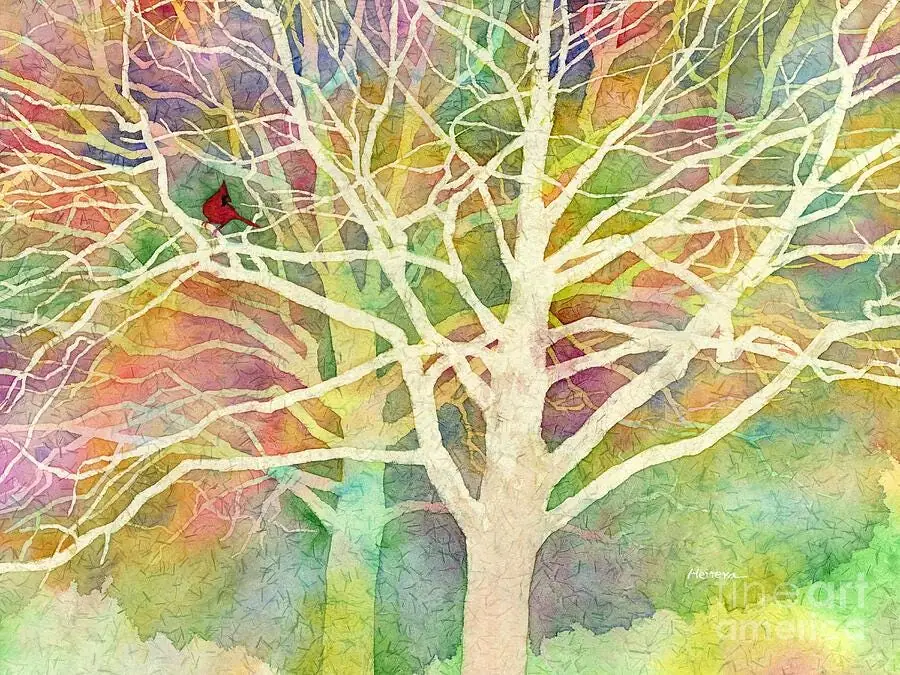 Whisper, Red Cardinal Bird in Tree