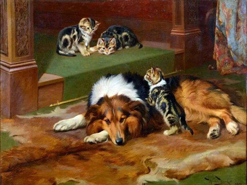 Patience Is the Greatest Virtue Funny Animals Cats