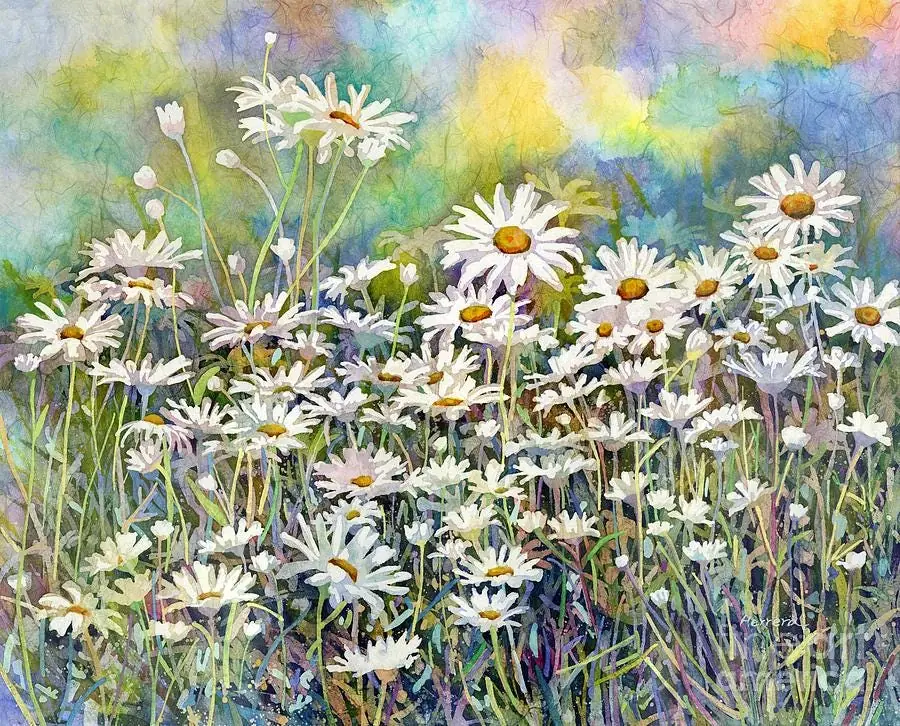 Dreaming Daisies Flower Garden
