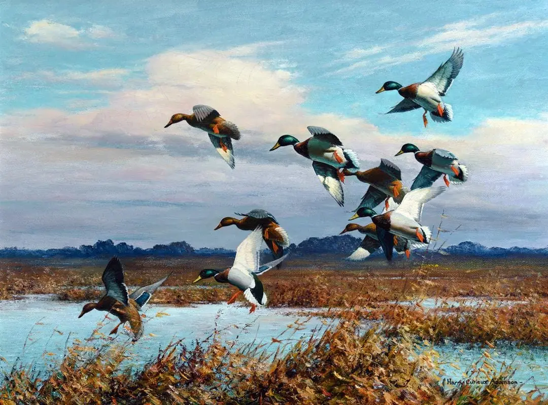 Mallards in the Afternoon