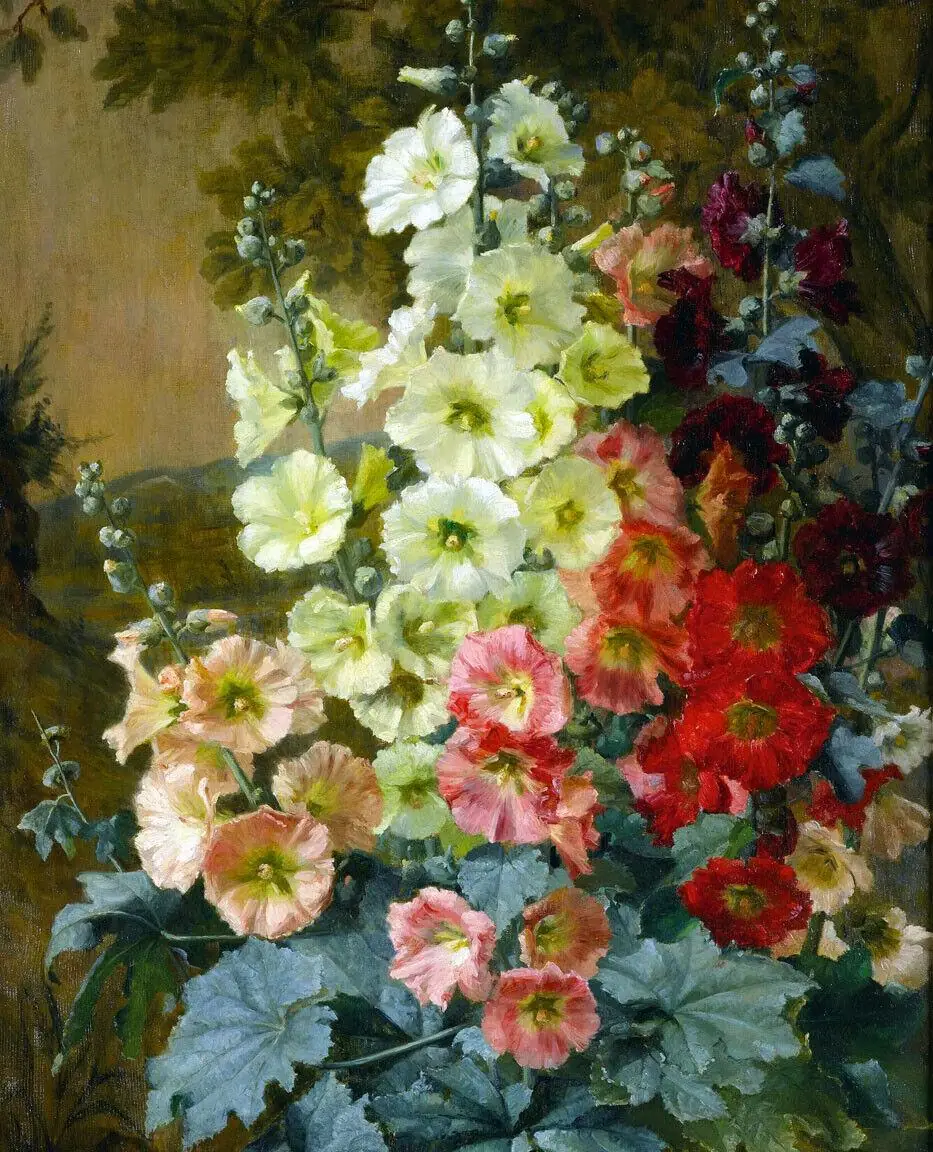 Augusta Dohlmann Hollyhock Flowers Garden