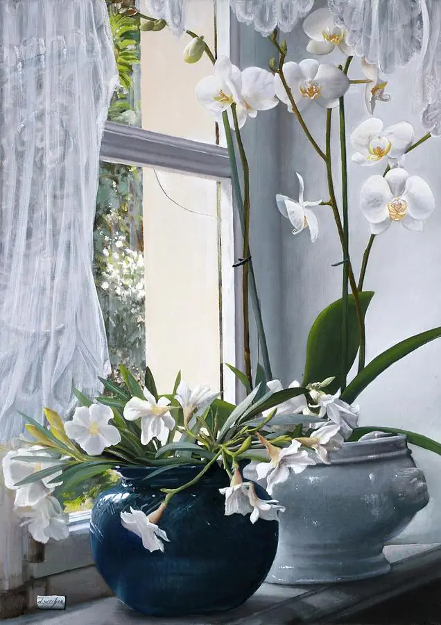 White Orchid Flowers on Window Sill Garden