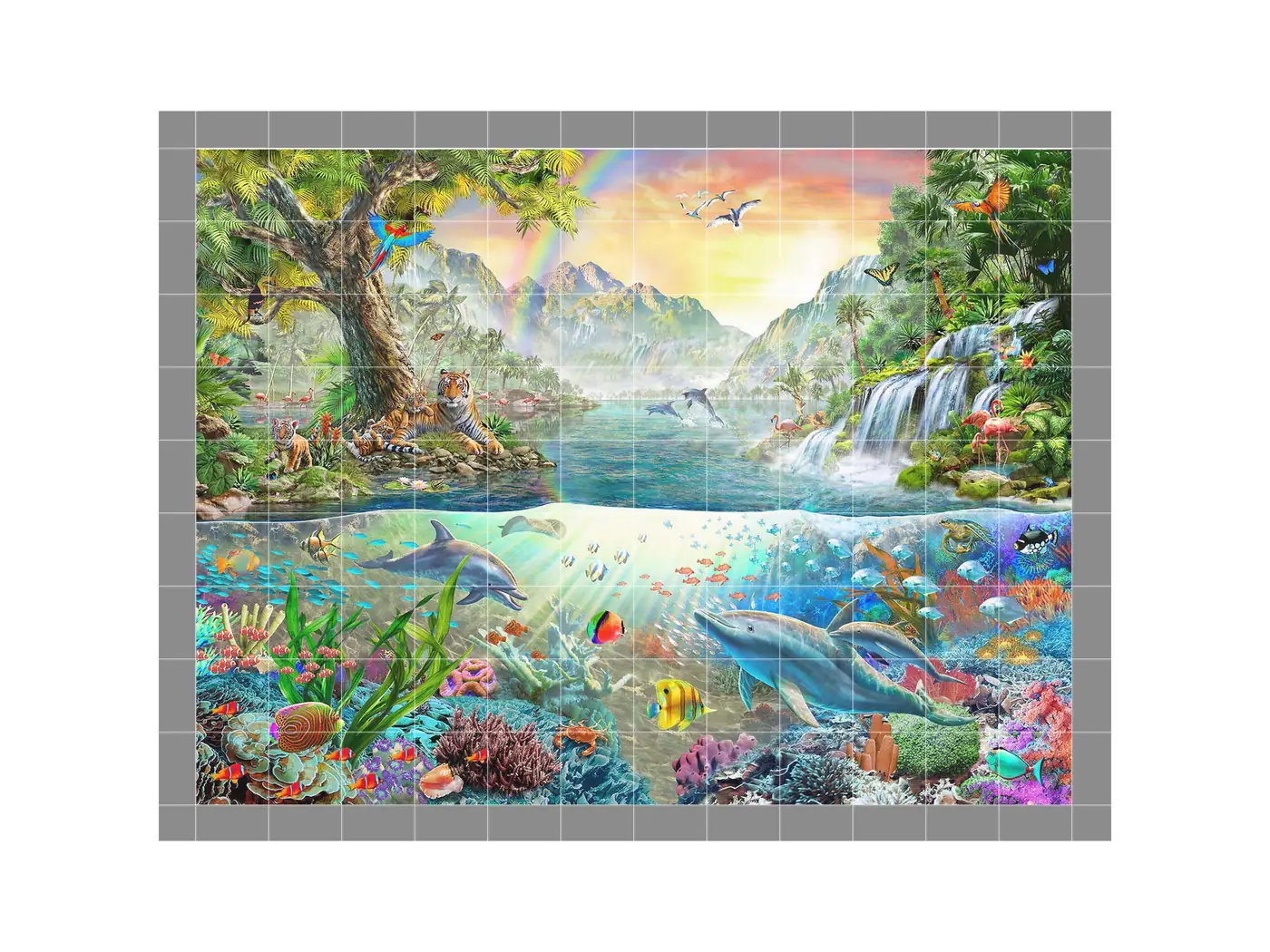 Tropical Fish Dolphins Utopia Coral Reef Seascape