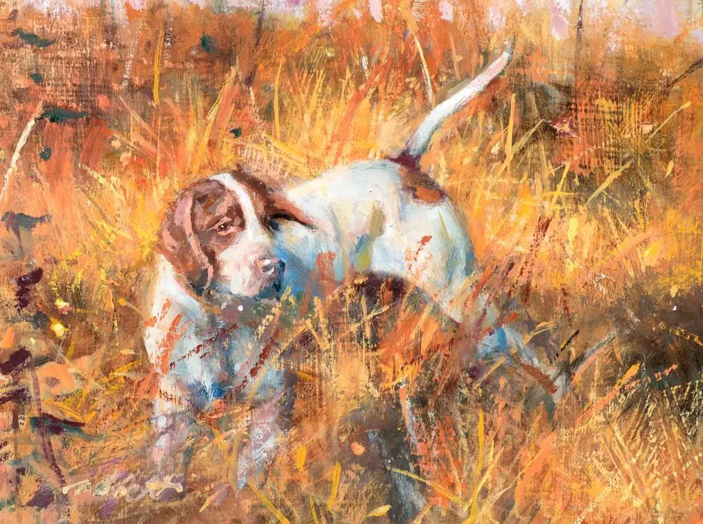 Blue Stem Pointer Hunting Dog