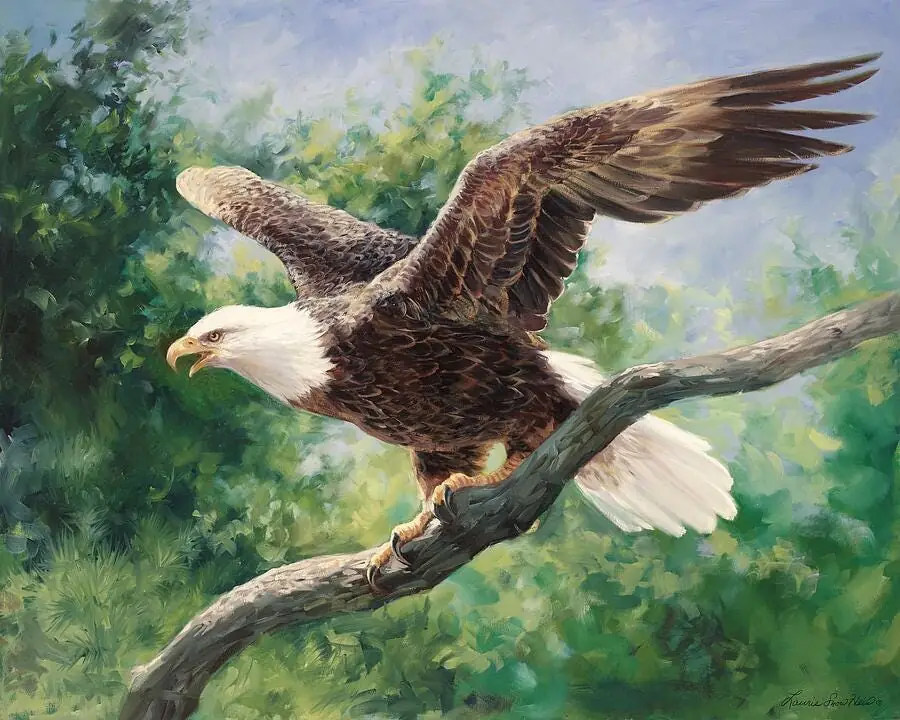 Eagle Bird Ready for Flight