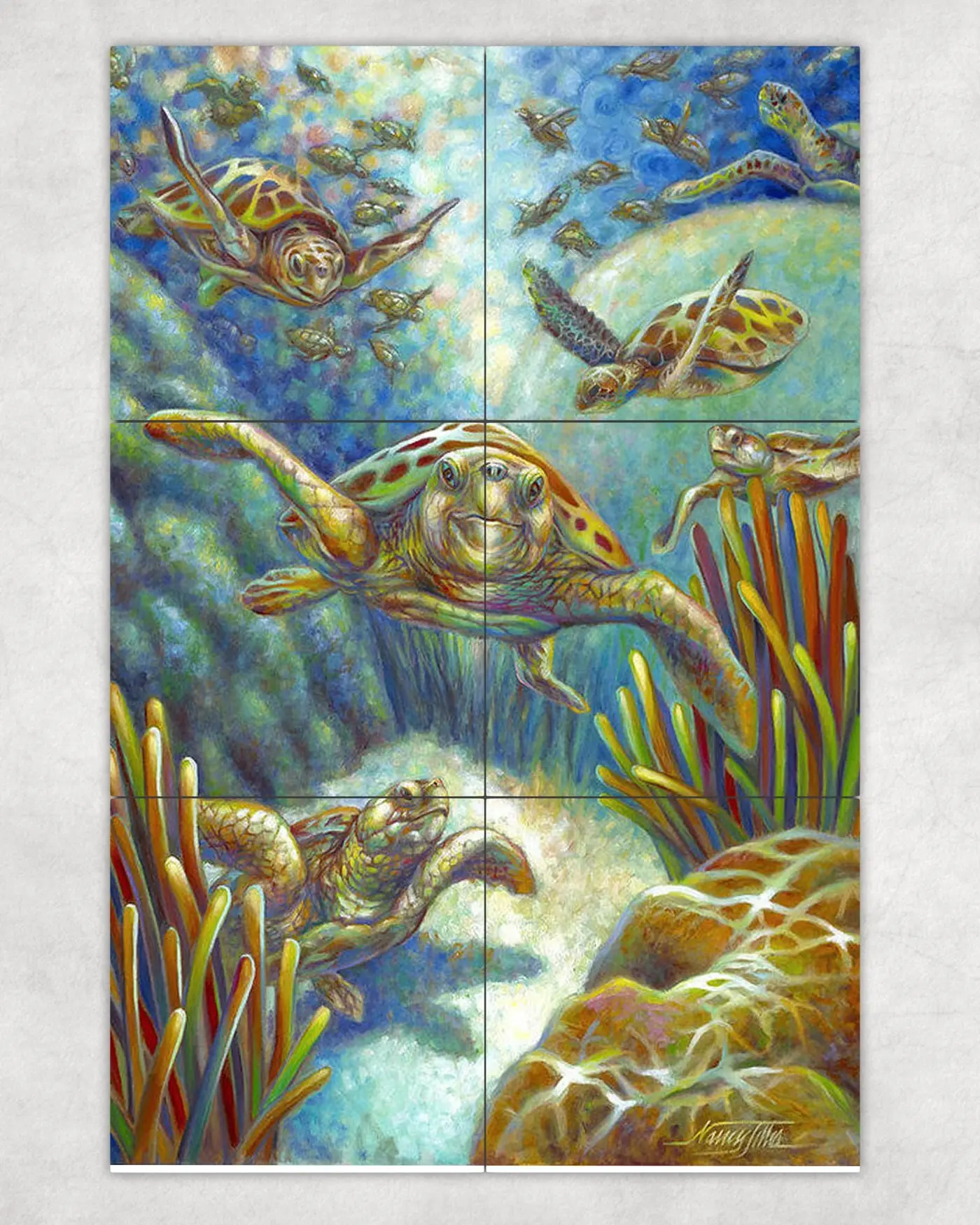 Loggerhead Sea Turtle Coral Reef Ocean 2