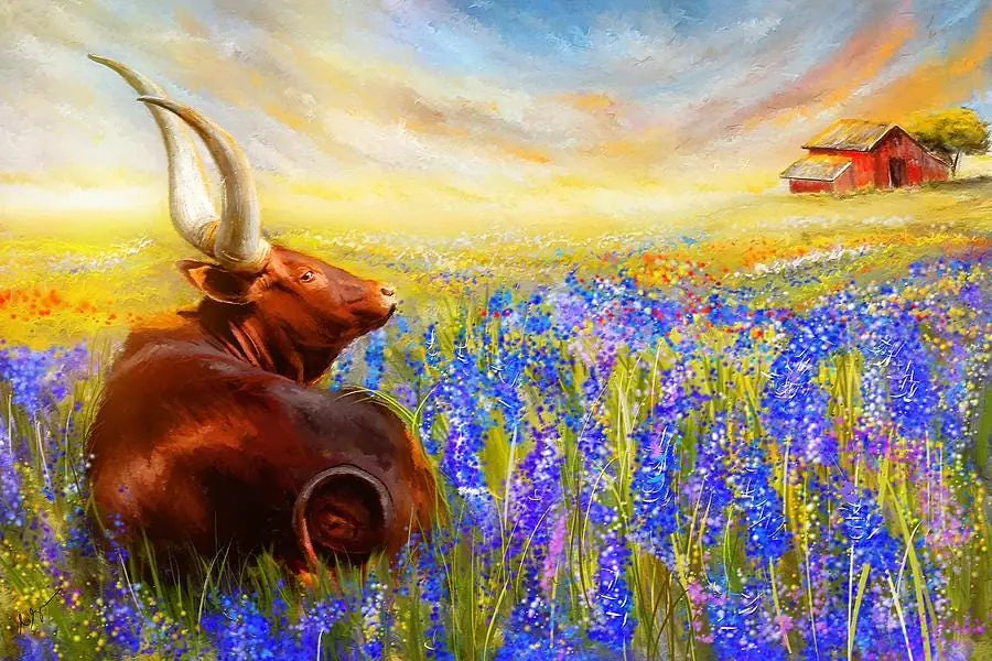 Longhorn Cow in Bluebonnet Flowers Meadow Garden Farm