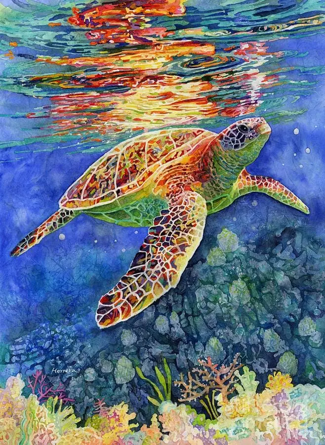 Sea Turtle Reflections