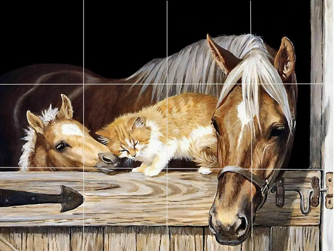 Horse Mare Foal Cat Pony Farm Friends Animals