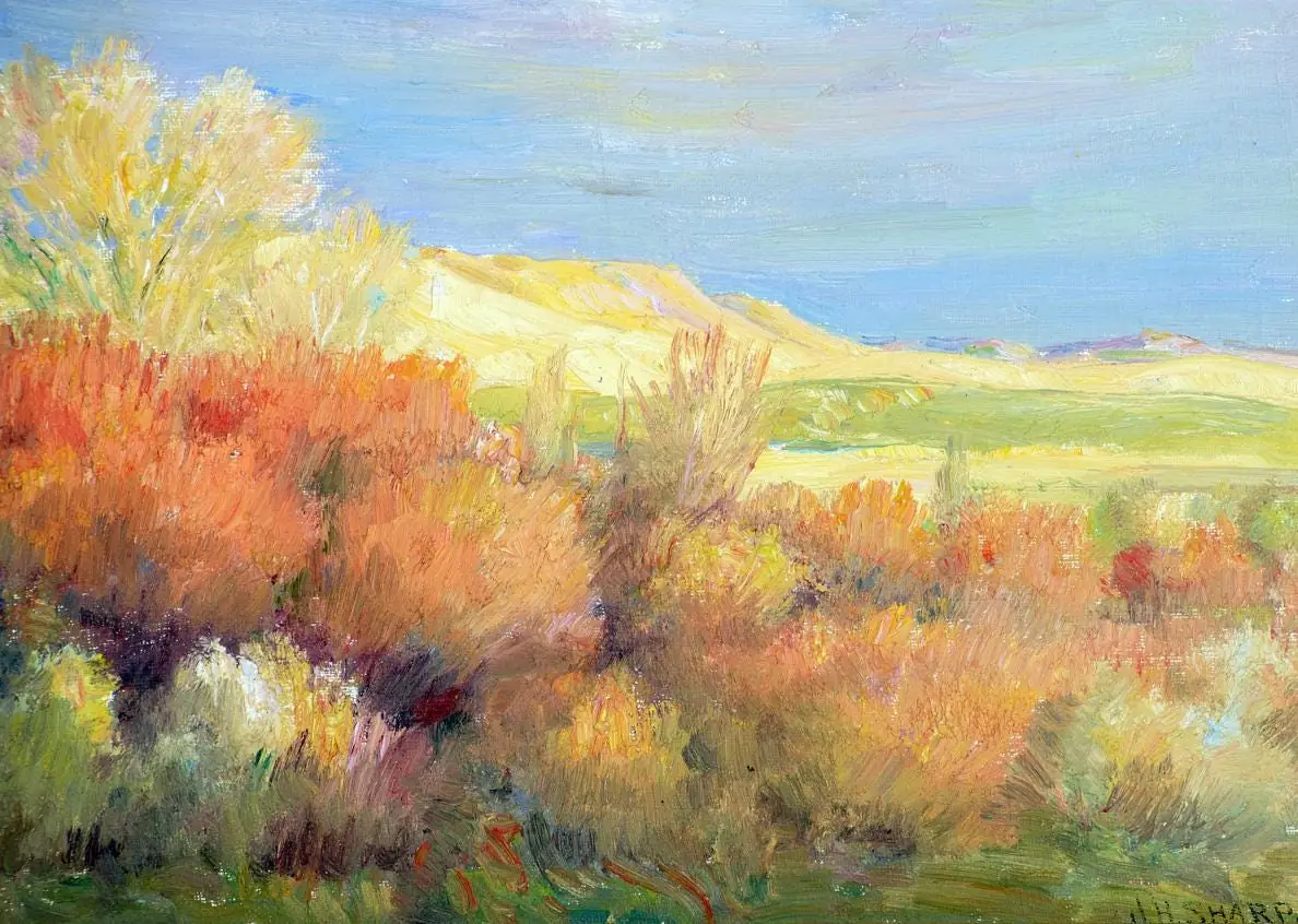 Sage Country by Sharp