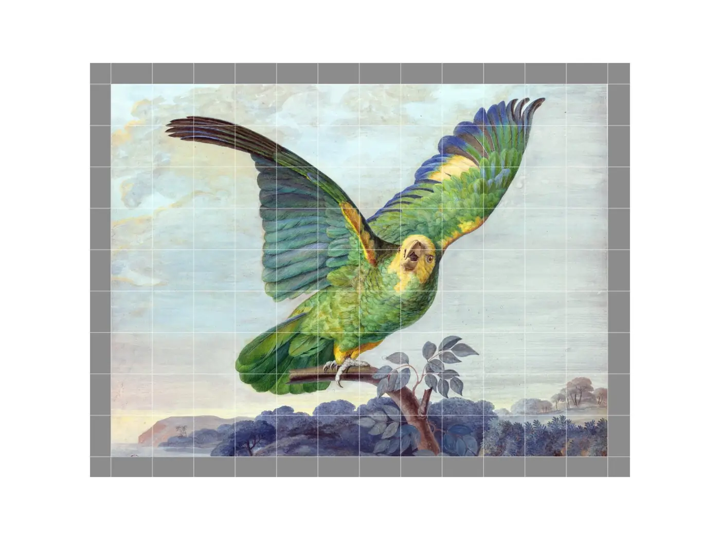 A Yellow-Headed Amazon Parrot Perched on a Branch