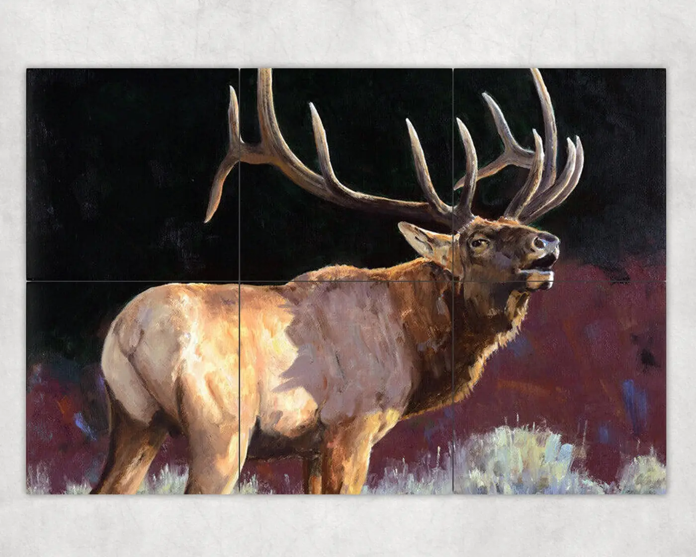 Bugling Elk in Woodland with Mountain View
