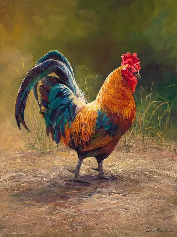 Hot Stuff, Farmyard Rooster Chicken Farm Animals
