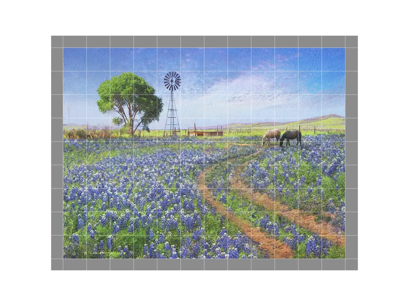 Horses in Texas Bluebonnet Field Windmill
