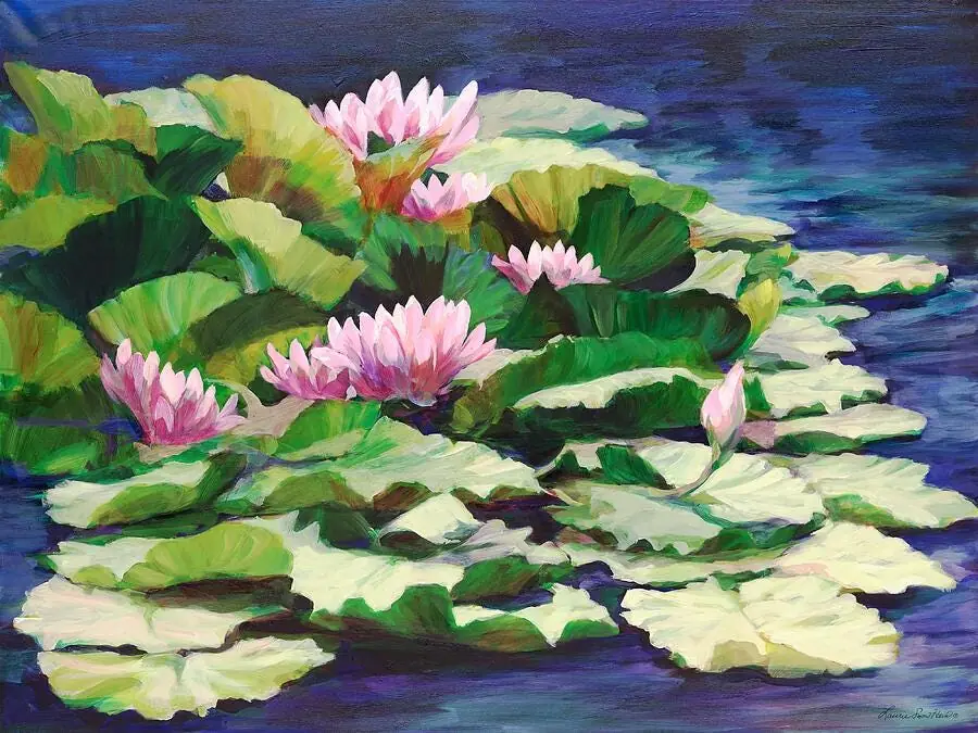Pink Water Lilies Pond Garden