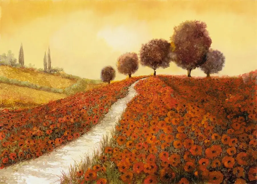 Hill of Poppies in Tuscany Italy