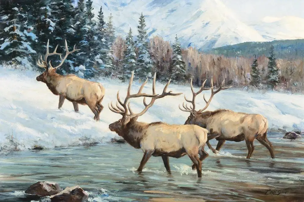 Elk in Wilderness Miles to Go