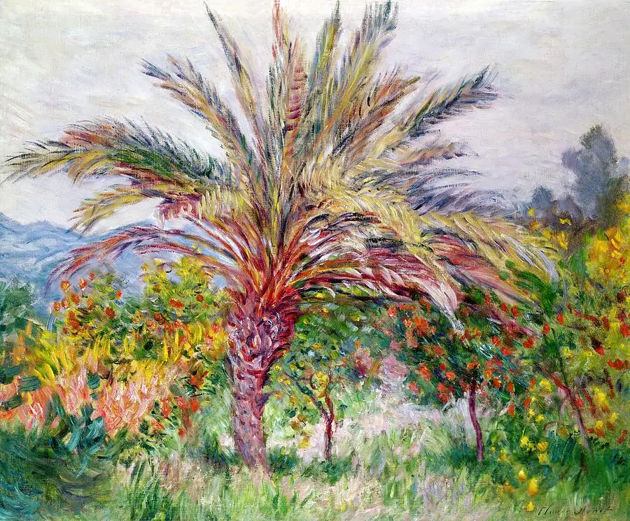Palm Tree at Bordighera Claude Monet