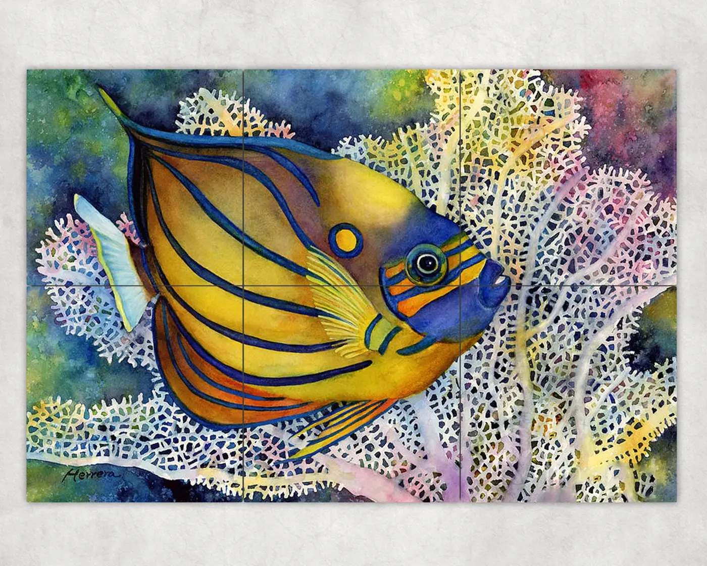 Blue Ring Tropical Fish Angelfish in Reef