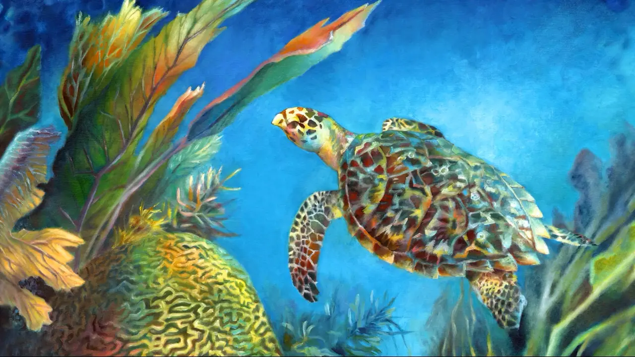 Sea Turtle Reef