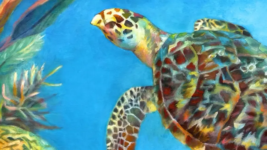 Sea Turtle Reef detail